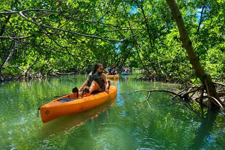 Easy Ride Pedal Kayak Tour Marco Island & Naples (Pedal or Paddle - Photo 1 of 25